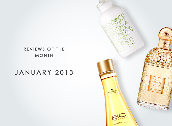 Reviews of the Month January 2013