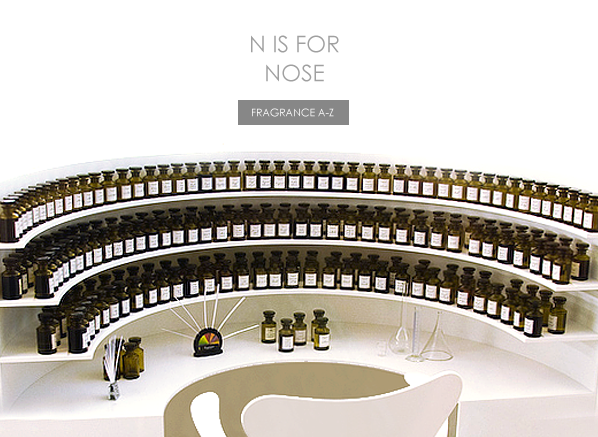 N is for Nose