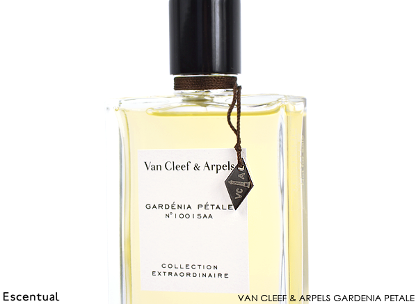 Van Cleef & Arpels Gardenia Petale