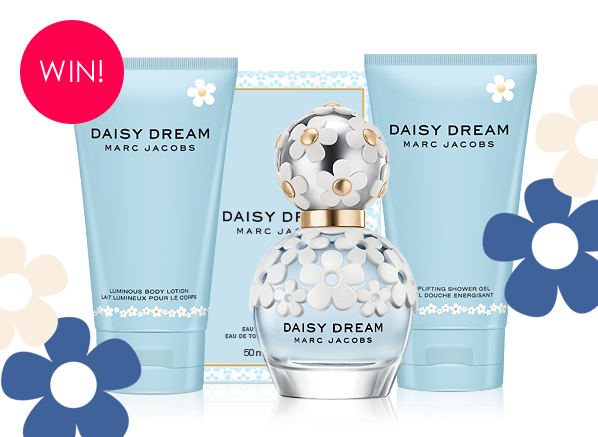 Daisy Dream: The Competition