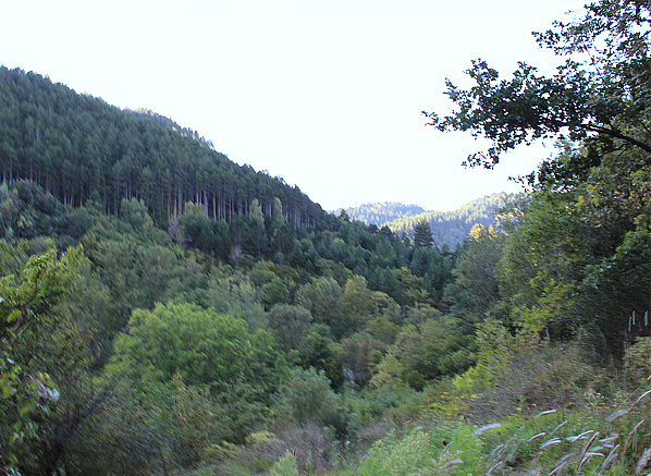 Languedoc National Park Avene