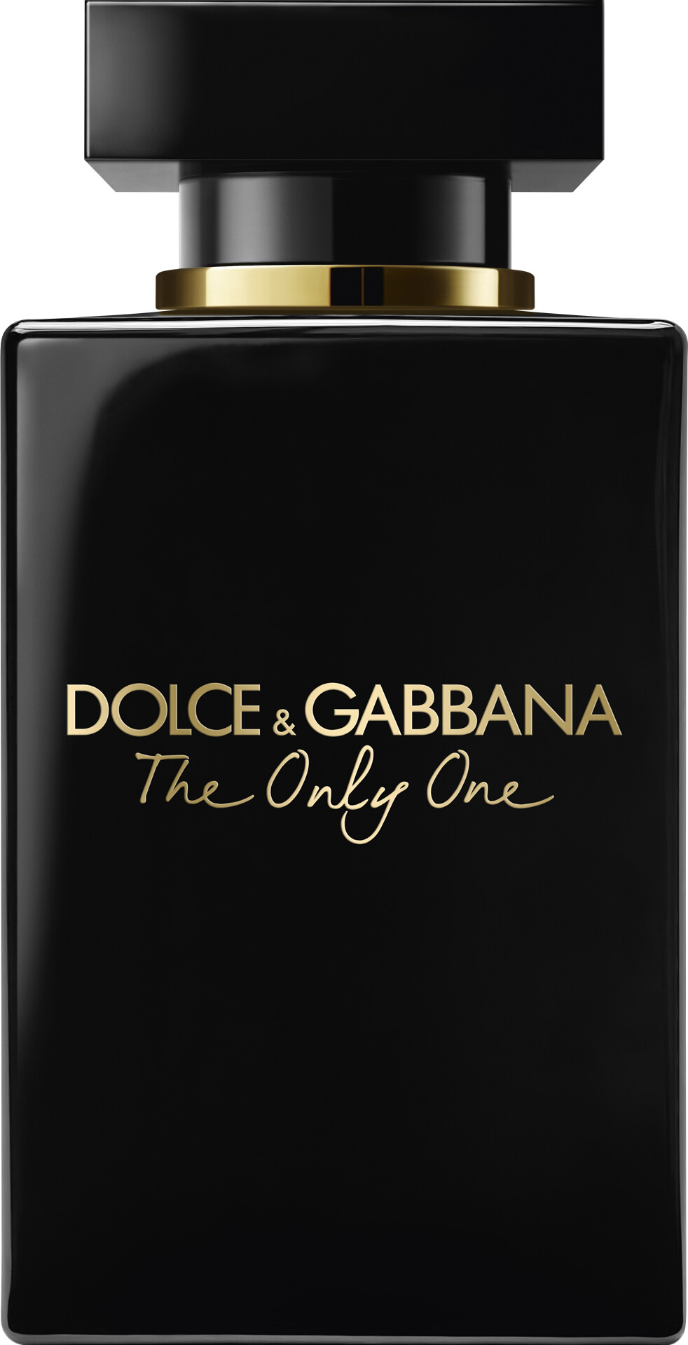 only one dolce gabbana