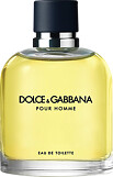 Dolce & Gabbana Pour Homme Eau de Toilette Spray