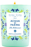 Acqua di Parma Blu Mediterraneo Mirto di Panarea x forte_forte Edition Scented Candle 200g 