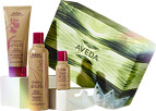 Aveda Cherry Almond Softening Hair and Body Gift Set Main