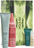 Aveda Scalp Solutions Healthy Hair & Scalp Detox Set With Box