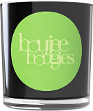 Boujee Bougies Succulent Candle 220g
