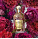 GUERLAIN Aqua Allegoria Forte Rosa Rossa Eau de Parfum Spray