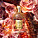 GUERLAIN Aqua Allegoria Forte Rosa Palissandro Eau de Parfum Spray