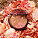 GUERLAIN Terracotta Flower Blossom Sun-Kissed Healthy Glow Powder