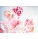 BVLGARI Rose Goldea Blossom Delight Eau de Toilette Spray  Visual