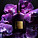 Tom Ford Velvet Orchid Eau de Parfum Spray - 50ml