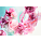 BVLGARI Rose Goldea Blossom Delight Eau de Parfum Spray Ad Visual