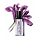 Yves Saint Laurent Pure Shots Lines Away Serum 30ml Iris Ingredient